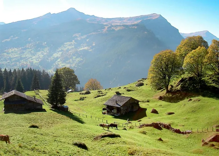 Apartment Shangri La By Interhome Grindelwald